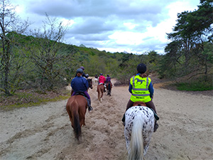 La randonnée, pour une relation cavalier-cheval à 100%, avec le Club Hippique des Joncs Marins